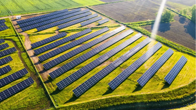 Solar farm - risk in renewable energy projects